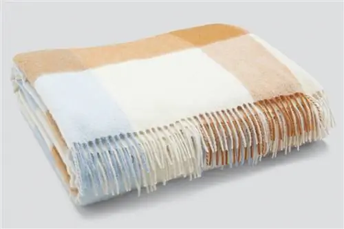 Смелый плед