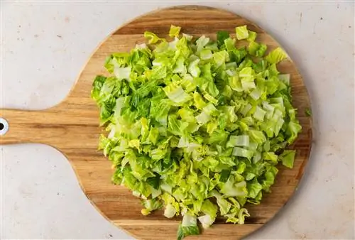 нарезать салат порционными кусочками