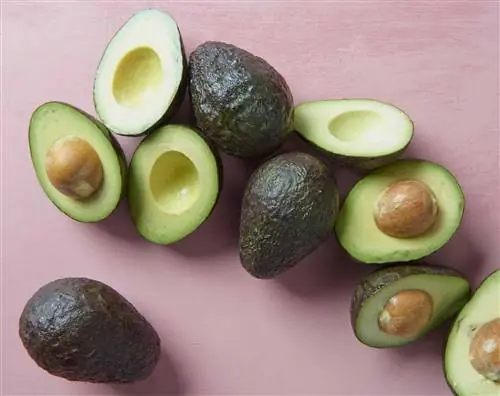 Розовый стол с половинками авокадо