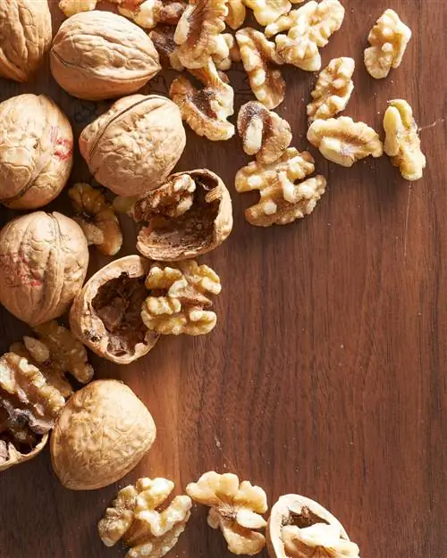 Грецкие орехи