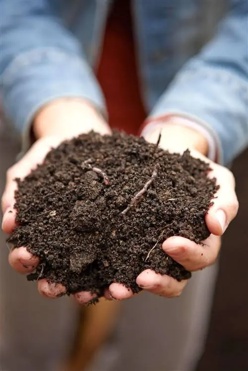 горсть компостной земли с червями