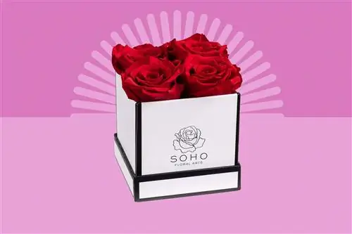 Любимый редактор рекламирует подарки ко Дню святого Валентина