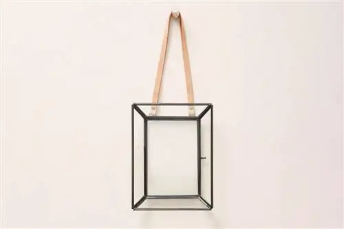 Антропология Таунсенд Фрейм