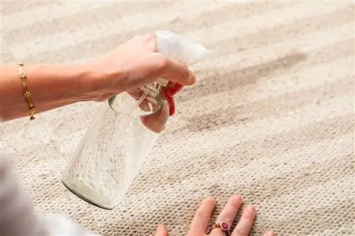 человек, использующий самодельный спрей для удаления пятен с ковра