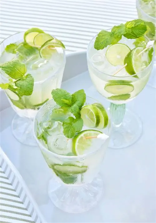 мохито традиционный домашний