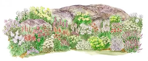 Иллюстрация плана долгоцветущего сада камней