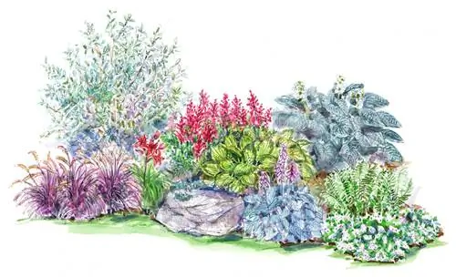 смелая иллюстрация плана лесного сада