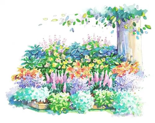 Иллюстрация плана сада без суеты