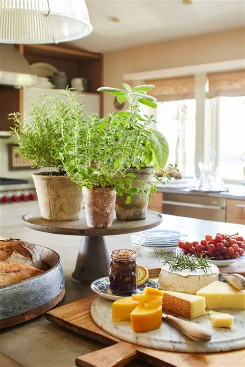 кухонный остров с растениями и колбасными изделиями