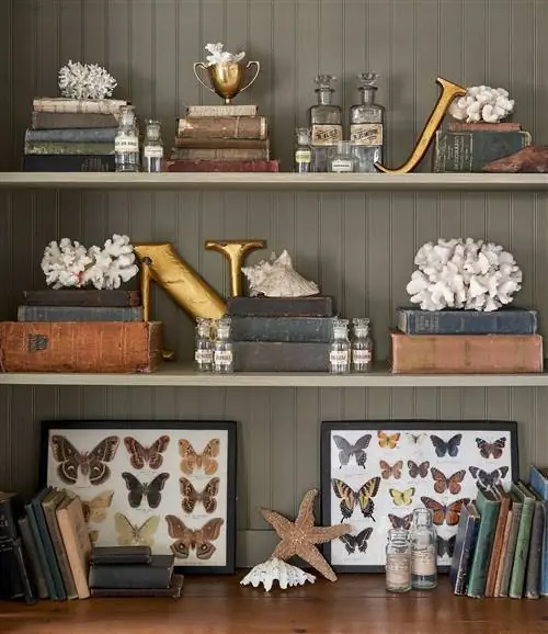 зеленый шкаф полки книги коралловые бабочки баночки