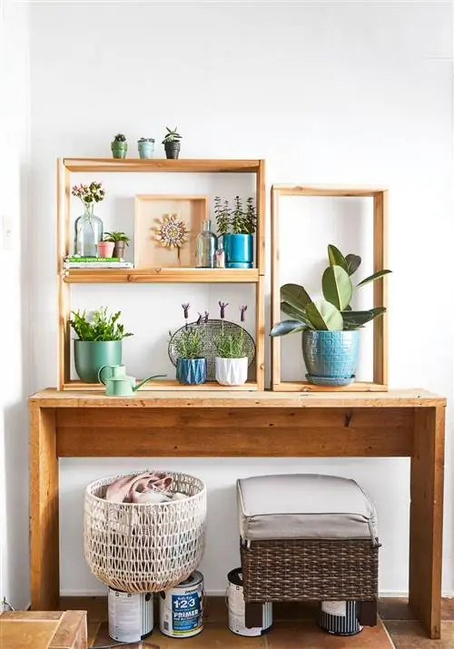 5 способов создать идеальную влажность для ваших комнатных растений