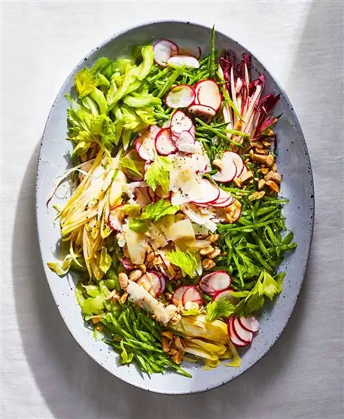 15 рецептов редиса для закуски, салата или основного блюда