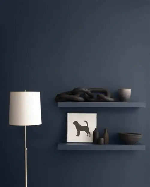 темно-синий от Benjamin Moore