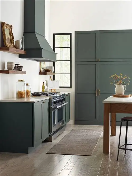 Pewter Green от Шервина Уильямса на шкафах