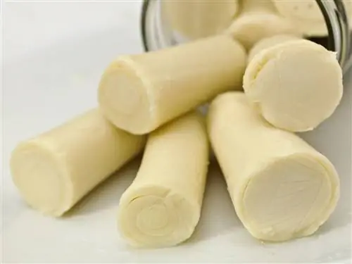 что такое сердце пальмы