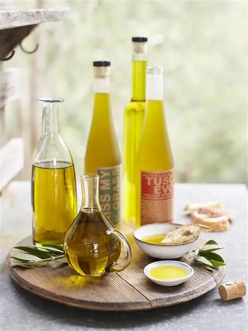Полное руководство по всем видам оливкового масла и по выбору лучшего сорта