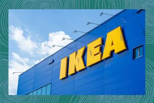 Согласно новому отчету, 13% из нас разговаривали с нашими растениями за последний год