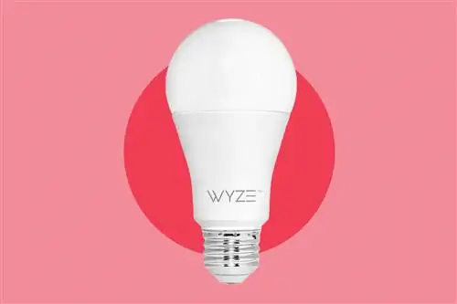 Умная лампочка Wyze WLPA19