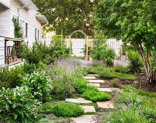 двор с каменной дорожкой