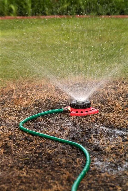 водяной газон с разбрызгивателем