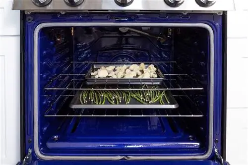 аэрогриль с овощами для запекания