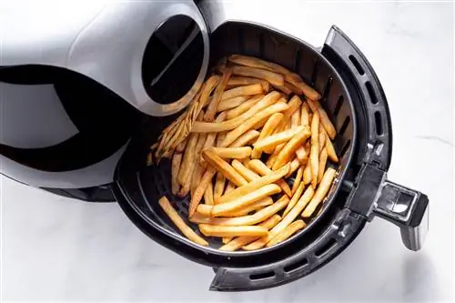 аэрогриль с картофелем фри