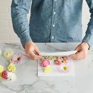 бумажные листы, используемые для прессования различных цветов