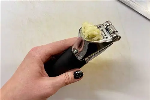 Чесночный пресс
