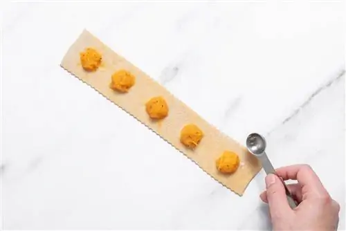 паста с начинкой для равиоли