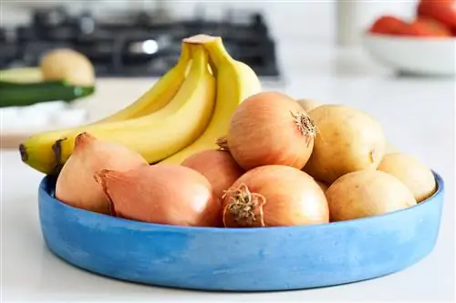 бананы, лук и картофель в миске