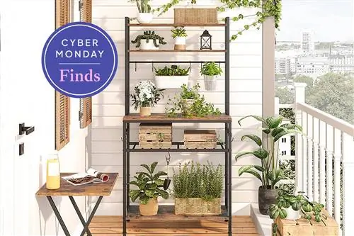 Не пропустите эти предложения мебели в интернет-магазине Amazon Outlet Cyber Monday - покупайте наши любимые находки