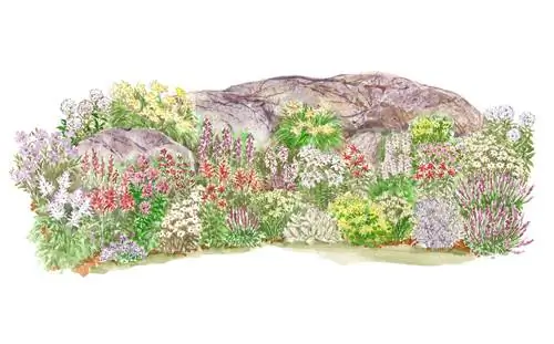 Иллюстрация плана долгоцветущего сада камней