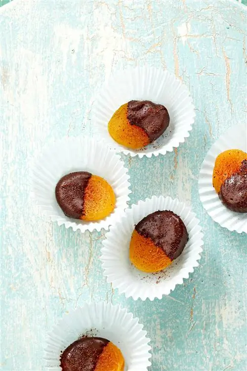 Пряные абрикосы в темном шоколаде