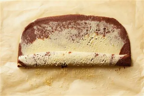 шоколадно-мятное печенье