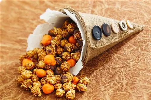 Закуска из рога изобилия своими руками