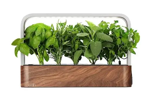 edn SmallGarden with Basil SeedPods, стартовый набор для умного сада для выращивания в помещении