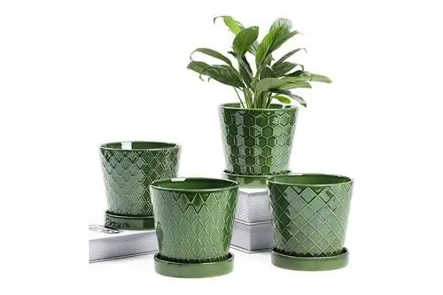 BUYMAX Plant Pots Indoor - 5-дюймовый керамический цветочный горшок с дренажным отверстием и керамическим поддоном