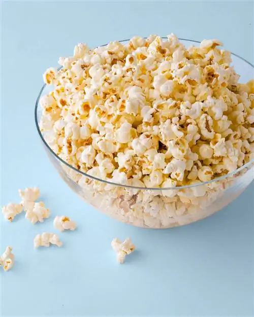 миска попкорна