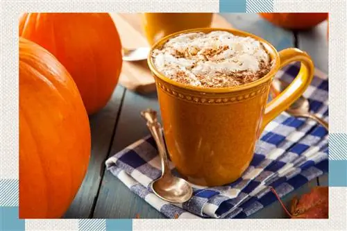 Это начало конца для Pumpkin Spice?