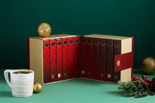 Коробка со сборником рассказов Bean Box 12 Mornings of Coffee и чашка кофе в белой кружке Коробка со сборником рассказов Bean Box 12 Mornings of Coffee и чашка кофе в белой кружке