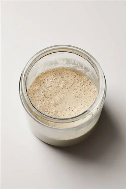 Закваска в маленькой банке