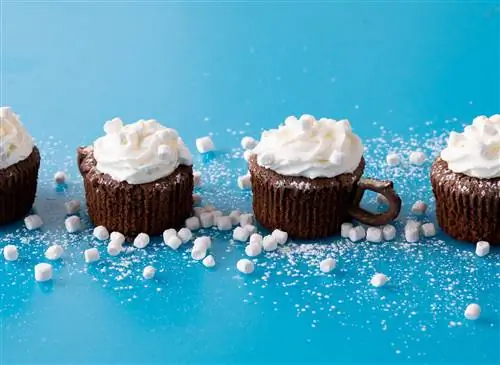 Липкие горячие кексы с какао