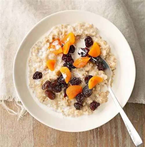 Овсяная каша в мультиварке с изюмом и абрикосами