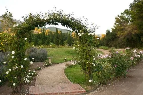 кирпичная дорожка под виноградной аркой