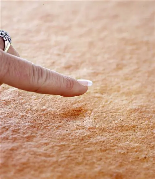 Проверка пирога на готовность пальцем