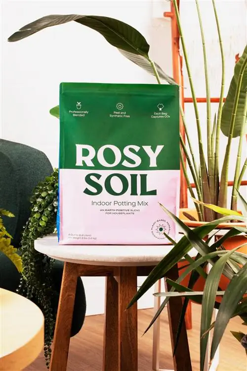 Горшечная смесь Rosy Soil на стуле с растениями