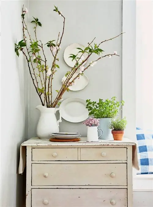 Растения с вазой для цветов на комоде