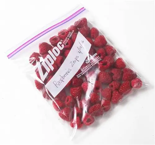 малина в пакете ziploc