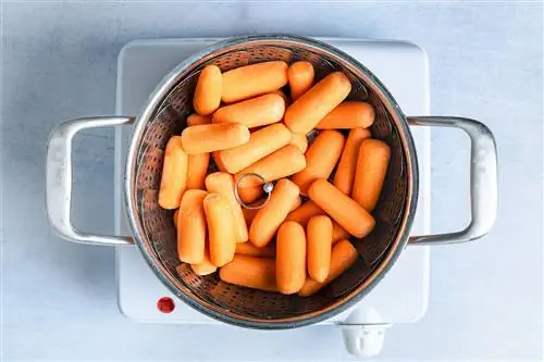 сырая морковь в кастрюле и пароварке готова к приготовлению