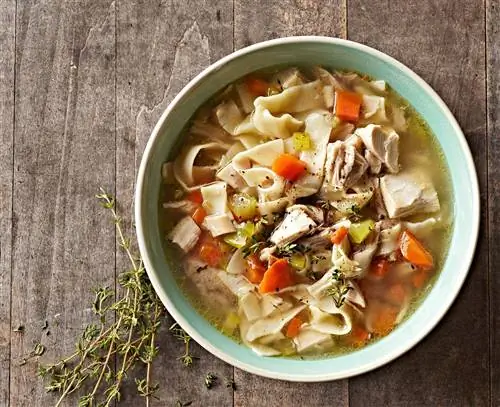 Лучший куриный суп с лапшой